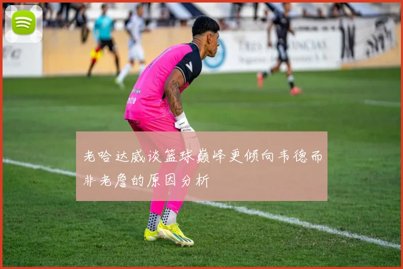 老哈达威谈篮球巅峰更倾向韦德而非老詹的原因分析